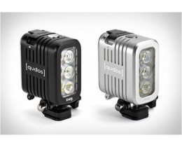 QUDOS ACTION FLASH